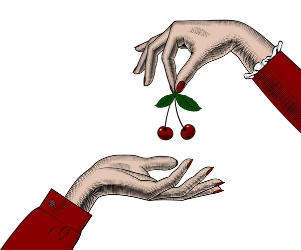 Mãos de mulher segurando cerejas . — Vetor de Stock