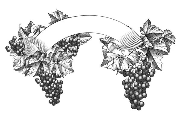 Banner de fita retro com cachos de uvas — Vetor de Stock