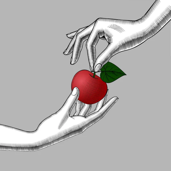 Bir elma ile kadının el — Stok Vektör