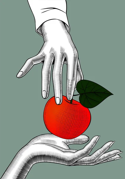 Woman's hands with an apple — Stock Vector