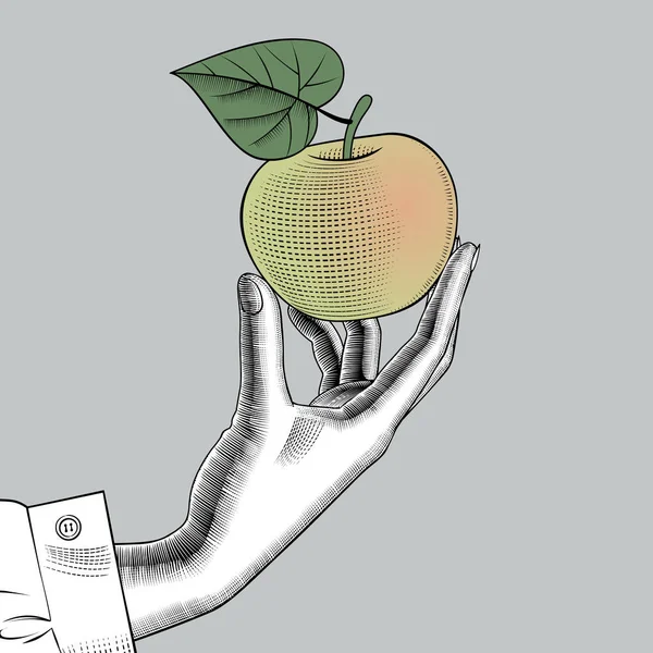 Kvinna hand med ett äpple. — Stock vektor