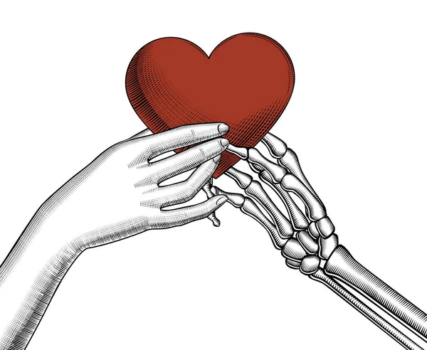 Skelet Kadın Eline Kırmızı Bir Kalp Verir Aşk Ölüm Teması — Stok Vektör