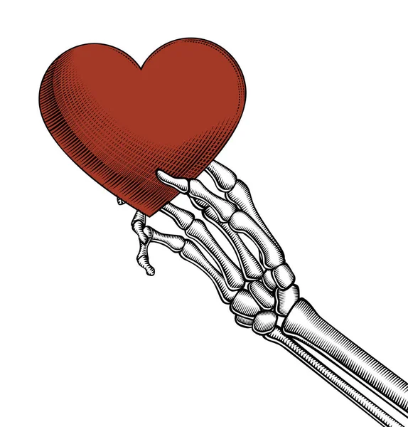 Mão Esqueleto Segurando Coração Vermelho Gravura Vintage Estilizada Desenho Ilustração —  Vetores de Stock
