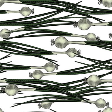 Vejetaryen geçmişi. Taze soğanlı, pürüzsüz bir arka plan. Renkli, klasik oyma, stilize çizim. Vektör illüstrasyonu