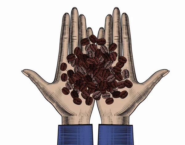 Ziarna Kawy Rękach Kobiet Ręka Trzymająca Palone Ziarna Kawy Grawerowanie — Wektor stockowy