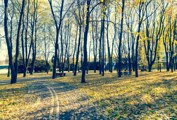 Carril bici en el parque de otoño / foto tonificada —  Fotos de Stock