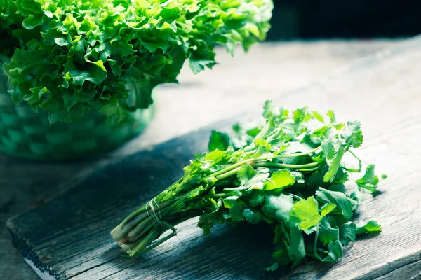 Green Salad Background Close — Stock Photo, Image