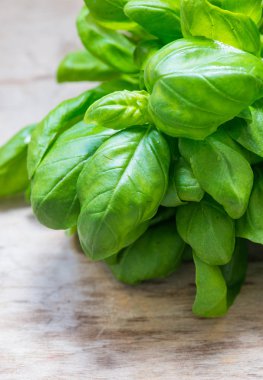 Taze Basil Yaprakları