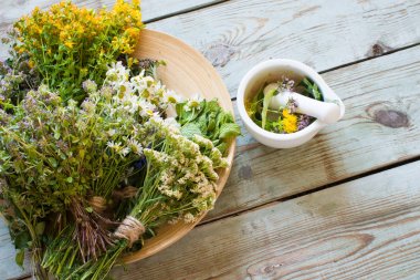 Otlar tıp çiçek arka plan üzerinde kapat