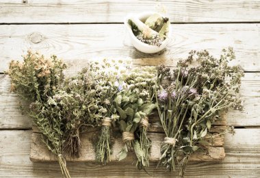 Otlar tıp çiçek arka plan üzerinde kapat