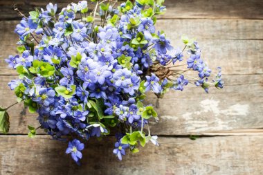 Unut beni değil çiçek arka plan üzerinde yakın çekim