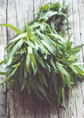 Arkaplanda yeşil yapraklar, kapat