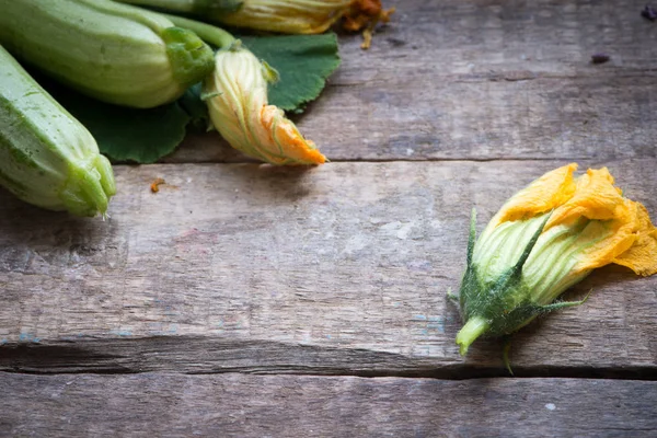 Zucchini Flowers Background Close — Stock Photo, Image