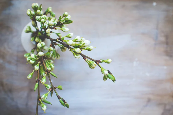 Frühlingsblumen Auf Holzgrund — Stockfoto