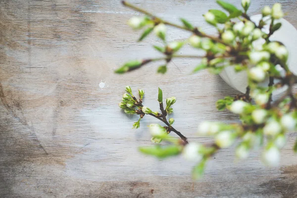 Jarní Květiny Váze Dřevěném Pozadí — Stock fotografie
