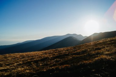 Karpatlar 'da Güneşli Gün