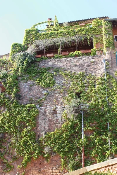 Roussillon, Provence, Frankrike-vägg med murgröna — Stockfoto