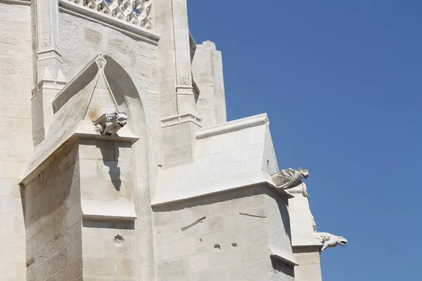 Vízköpő a Notre Dame des Anges - templom a LLE-sur-la-Sorgue Provence, Franciaország — Stock Fotó