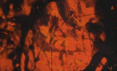 Soyut arka plan sanatı. 2D çizim. Etkileyici yağlı boya resim. Tuvalde fırça darbeleri. Modern sanat. Çok renkli arkaplan. Çağdaş sanat. İfade. Sanatsal dijital palet.