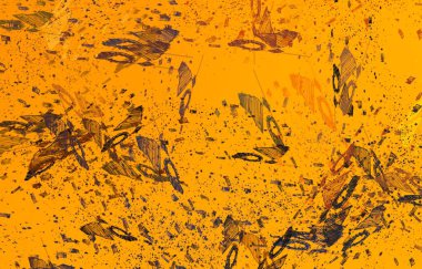 Soyut arka plan sanatı. 2D çizim. Etkileyici yağlı boya resim. Tuvalde fırça darbeleri. Modern sanat. Çok renkli arkaplan. Çağdaş sanat. İfade. Sanatsal dijital palet.