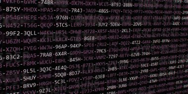 Yazılım geliştirici programlama kodu. Soyut modern sanal bilgisayar senaryosu. Masaüstü ekranında yazılım geliştirici programcının çalışması 