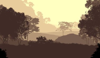 soyut tepe orman manzarası sisli ağaçlar fotokopi alanı, doğal arkaplan