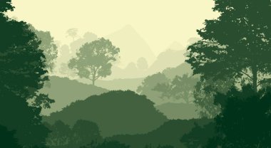 soyut tepe orman manzarası sisli ağaçlar fotokopi alanı, doğal arkaplan