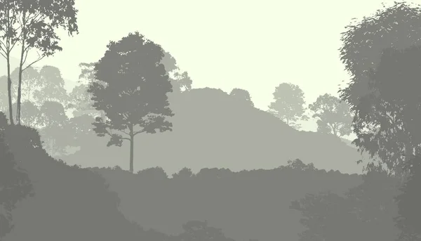 Abstrakt Kuperat Skogslandskap Med Dimmiga Träd Med Kopieringsutrymme Naturlig Bakgrund — Stockfoto