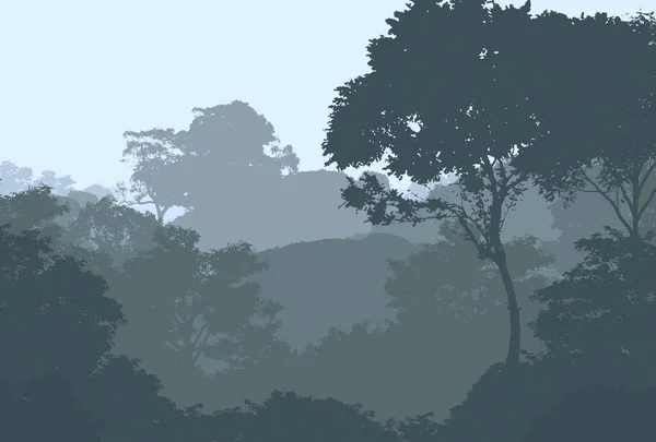 Abstract Heuvelachtig Boslandschap Met Mistige Bomen Met Kopieerruimte Natuurlijke Achtergrond — Stockfoto