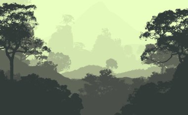 soyut tepe orman manzarası sisli ağaçlar fotokopi alanı, doğal arkaplan