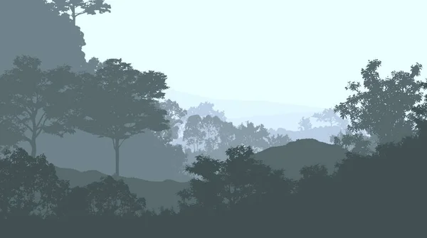 Abstrakt Kuperat Skogslandskap Med Dimmiga Träd Med Kopieringsutrymme Naturlig Bakgrund — Stockfoto