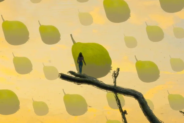 Abstrakter Hintergrund Mit Menschlicher Silhouette Und Früchten — Stockfoto