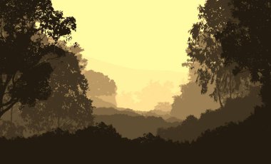 soyut tepe orman manzarası sisli ağaçlar fotokopi alanı, doğal arkaplan