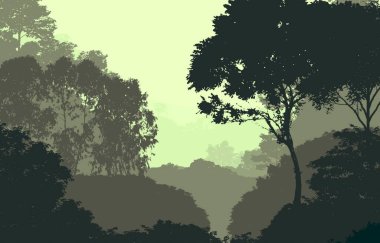 soyut tepe orman manzarası sisli ağaçlar fotokopi alanı, doğal arkaplan