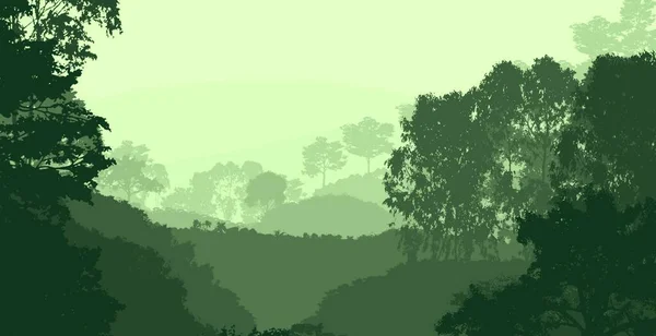 Abstract Hilly Forest Landscape Foggy Trees Copy Space Natural Background — Stock Photo, Image