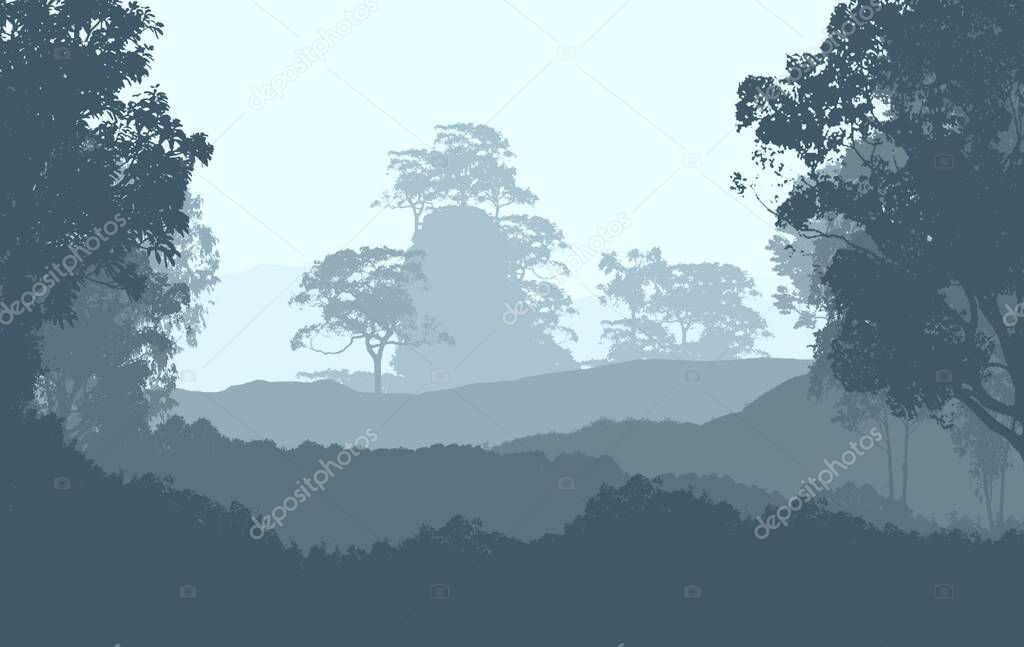 abstract hilly forest landscape with foggy trees with copy space, natural background