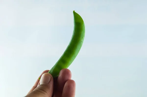 Groene bonen geïsoleerd op een witte achtergrond — Stockfoto