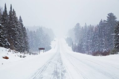 Algonquin 'de kar fırtınası görüş mesafesi çok düşük.