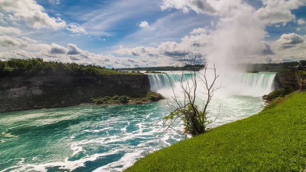 Horseshoe Falls em Niagara com uma árvore nua na frente — Fotografia de Stock