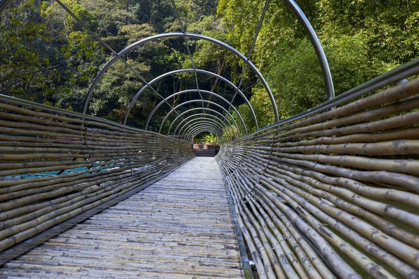 Bambusbrücke Über Den Fluss Park — Stockfoto