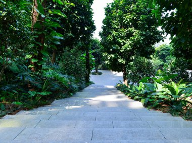 Parkta taş basamaklar