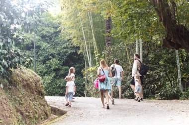 Parkta yürüyen iki aile.