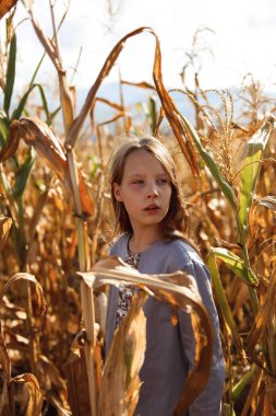 Buğday tarlasında küçük bir kız