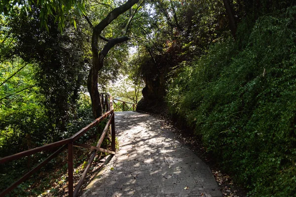 Bella Vista Sul Parco — Foto Stock