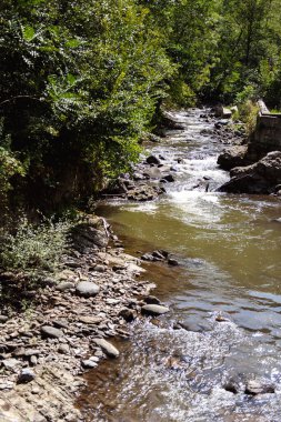 Nehir ve ormanlı güzel bir manzara.