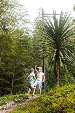Çocuklar dağlarda yürüyüş yapıyor.