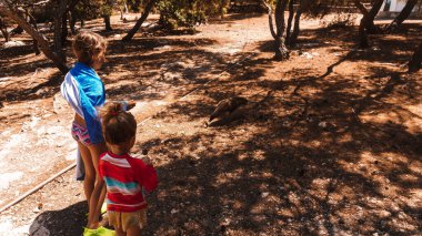 Güzel küçük kızlar parkta kuşları besliyor.