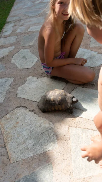 Діти Грають Черепахою Літньому Курорті — стокове фото