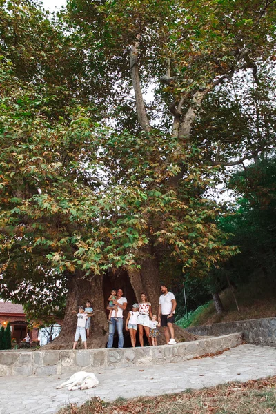 Dvě Rodiny Stojící Pod Obrovským Stromem — Stock fotografie