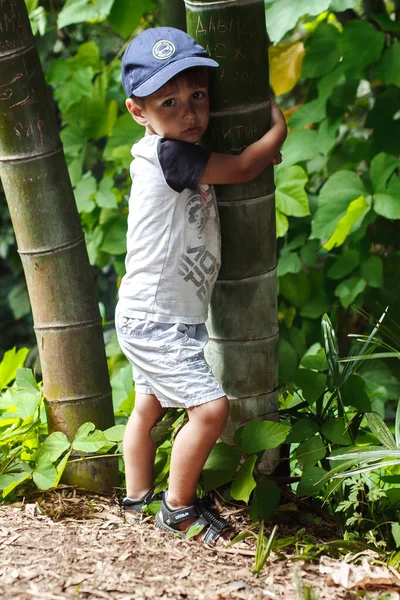 Little Boy Hugging Bamboo Tree — Stok fotoğraf